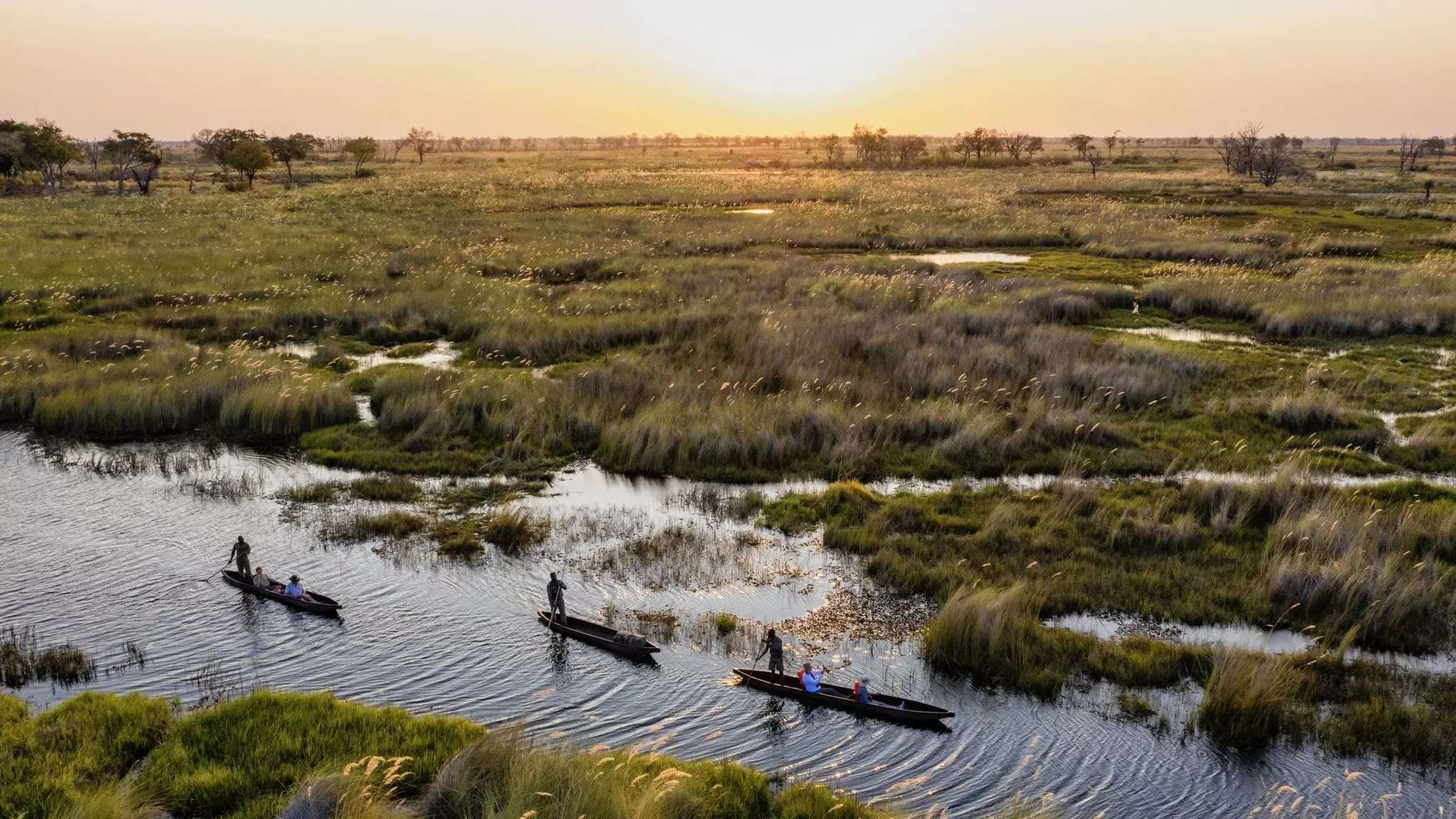 A mokoro is a type of canoe commonly used in the Okavango Delta. on the Chobe River in Botswana