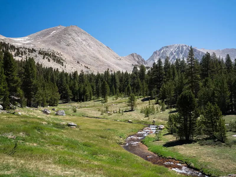 A green meadow surrounded by woodland among mountain peaks.