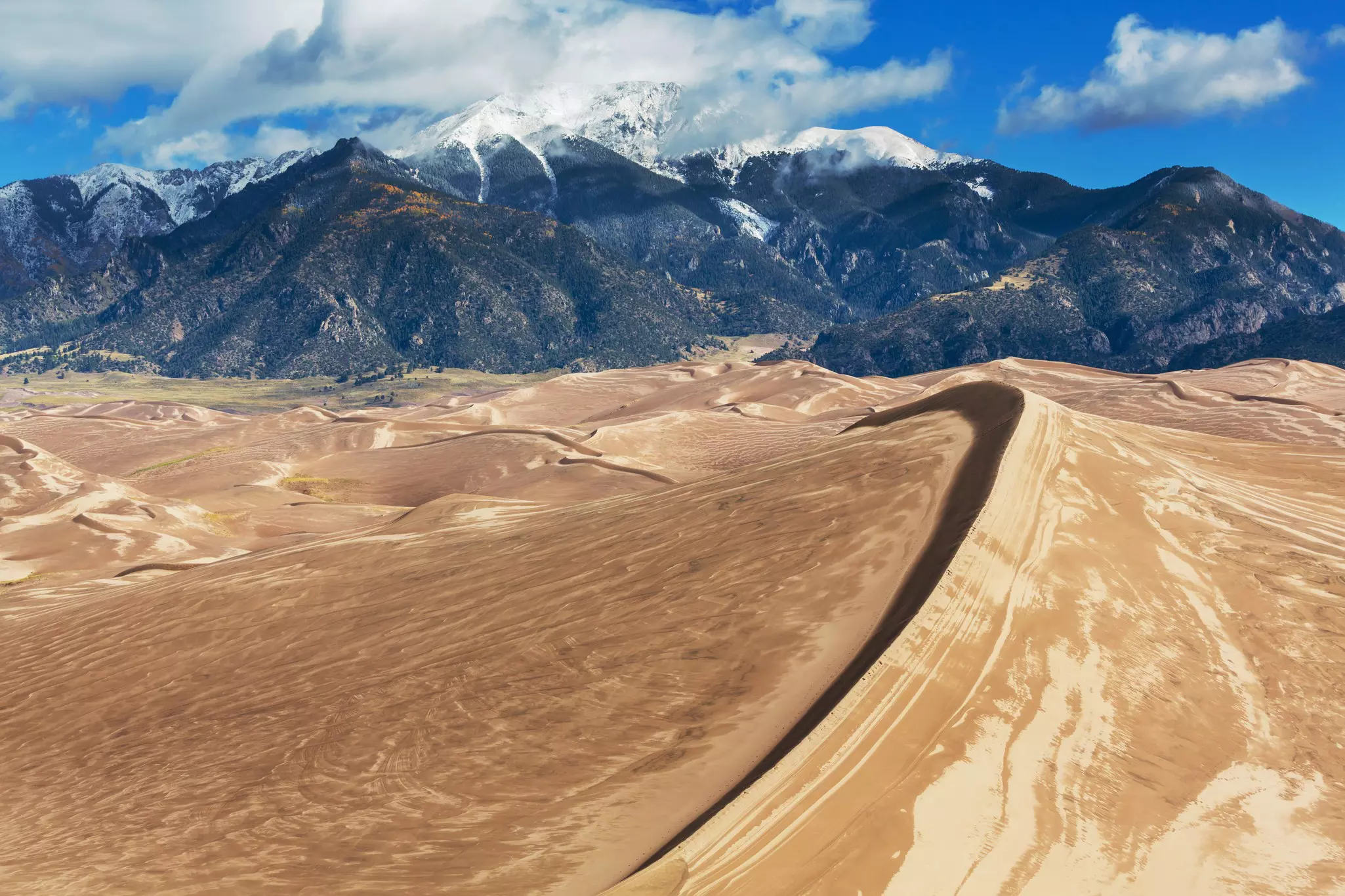 Vast golden sand dunes at the foot of a snow-capped mountain range
