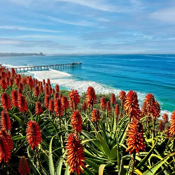 Get to know San Diego with this guide to a weekend break in the city. Alan Crosthwaite / Shutterstock
