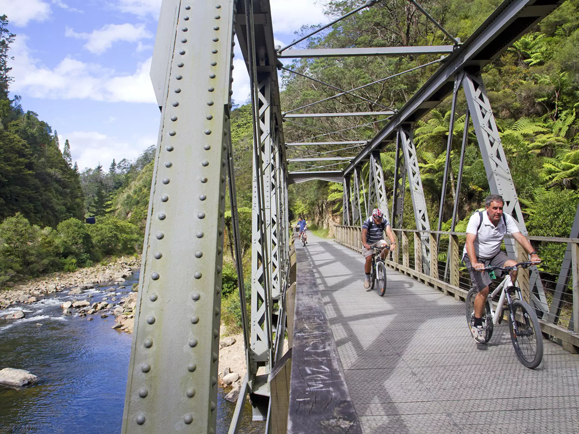 Cyclists on the Hauraki Rail Trail
519669903
bridge, bicycle, river, new zealand, rail to trail