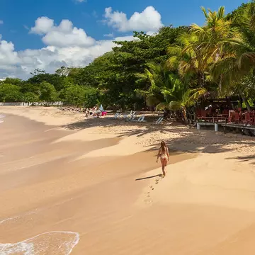 Grande Anse Beach, Grenada. Peter Krocka/Shutterstock
