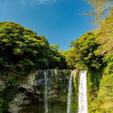 Several thin waterfalls pouring over a dark rock cliff into a clear green pool, lush trees and blue sky above, Jeju Island.