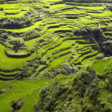 Level 33's terrace up high in Singapore © LeVeL33