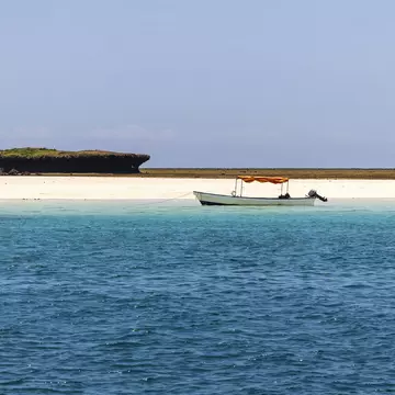 Wasini Island and Kisite-Mpunguti Marine National Park, Kenya, Africa