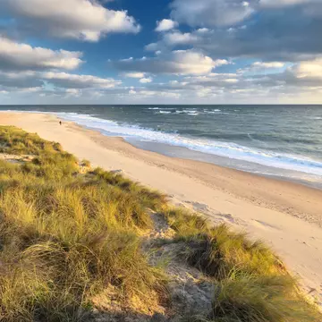 Bright early morning sunshine illuminates the sand dunes and marram grass on the coast at Winterton on Sea.
1069585750