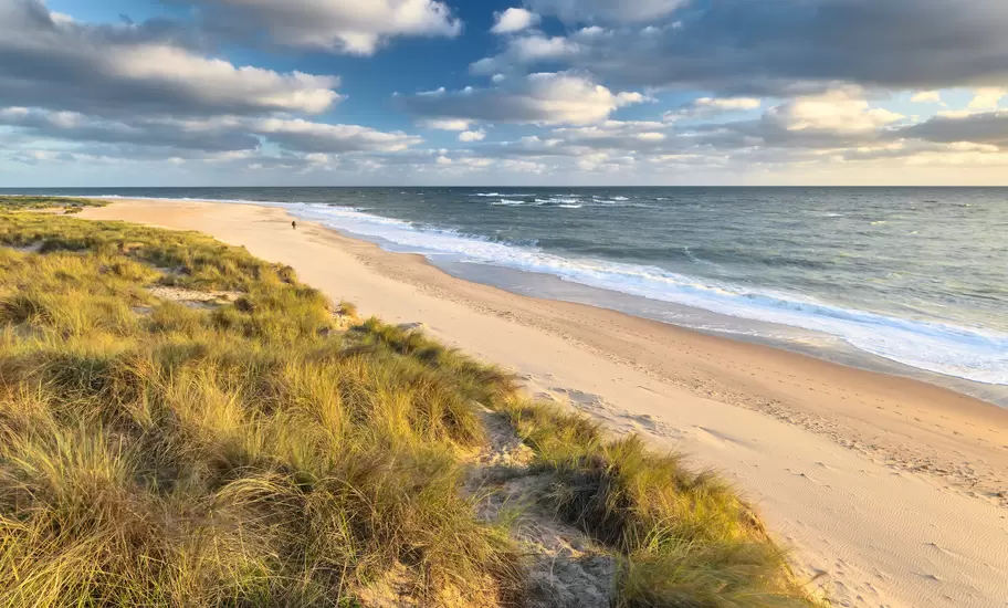 Bright early morning sunshine illuminates the sand dunes and marram grass on the coast at Winterton on Sea.
1069585750