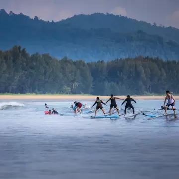 People learning to surf with lush green forestry as a backdrop