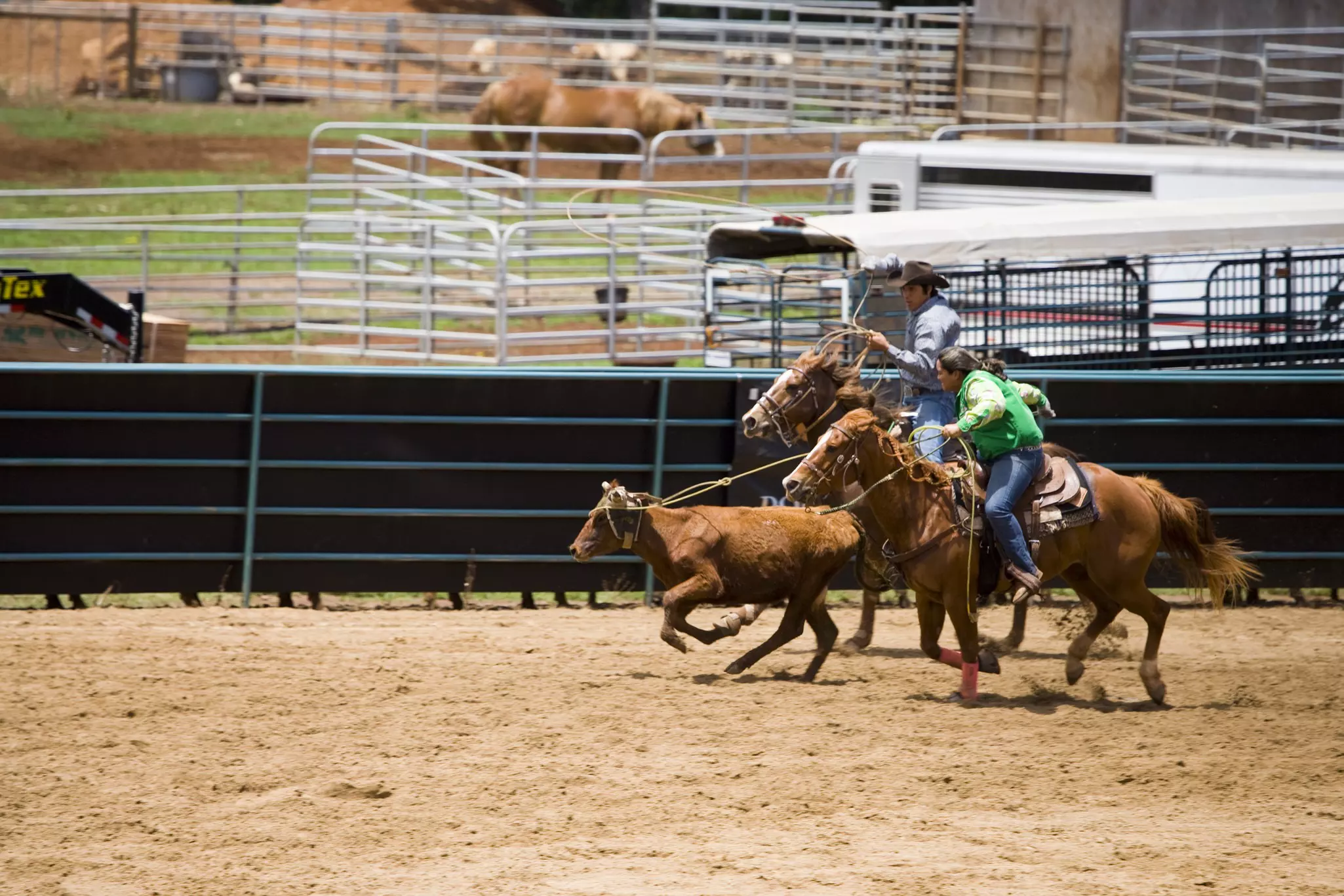 Rodeo at Piiholo Ranch, Makawao, Upcountry.
