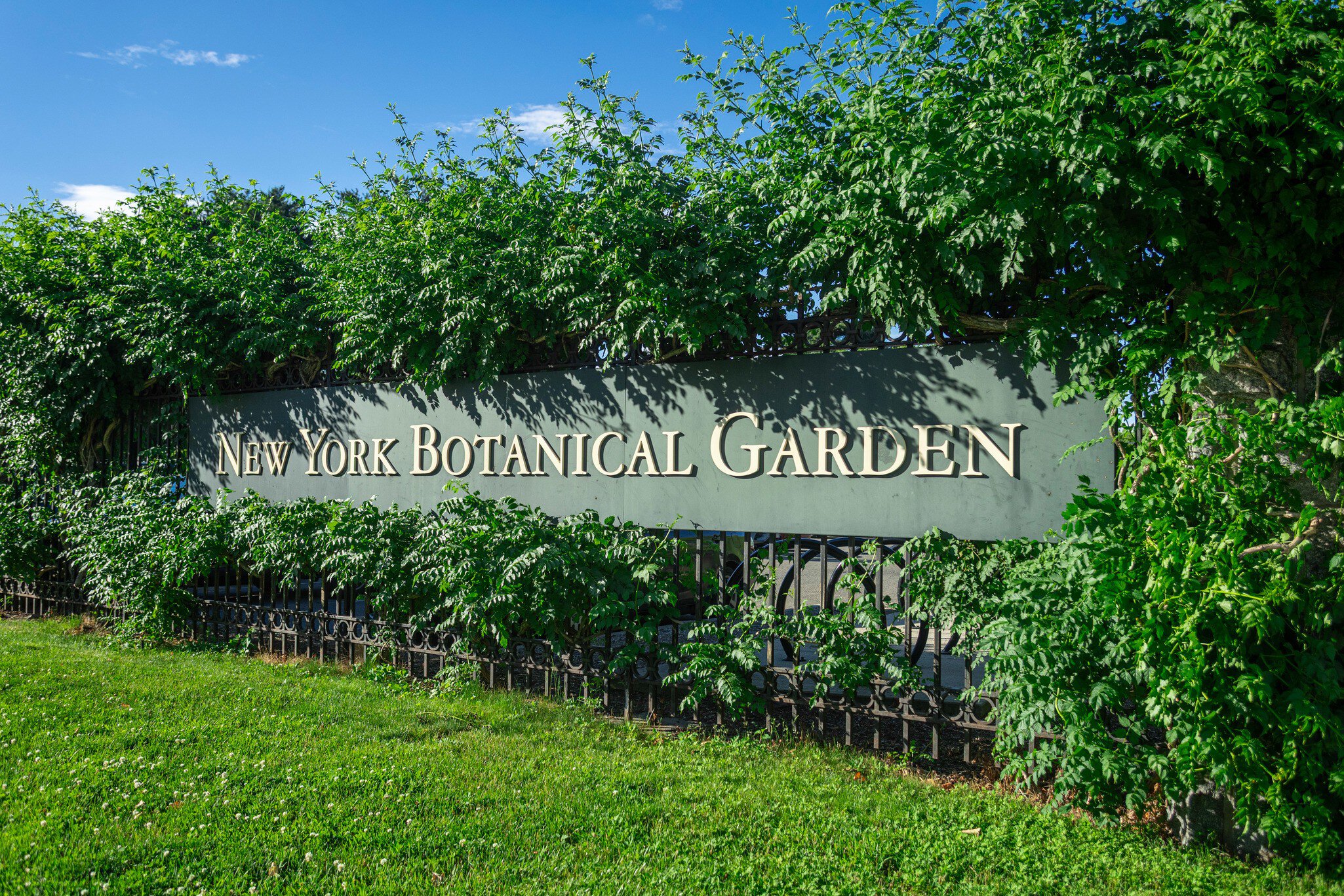 The New York Botanical garden grounds