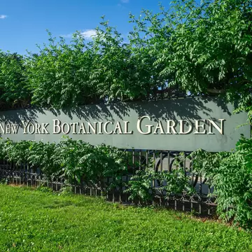 The New York Botanical garden grounds