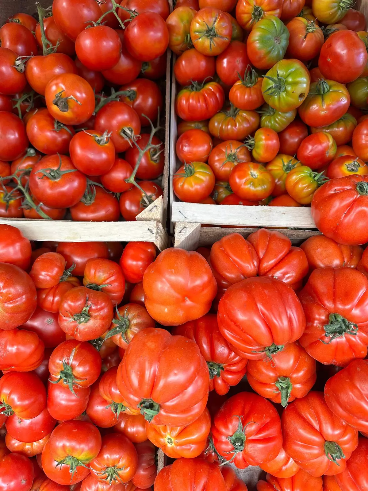 Food tour in Palermo
The ultimate wedding and honeymoon in Italy
Credit: Melissa Killian/Lonely Planet