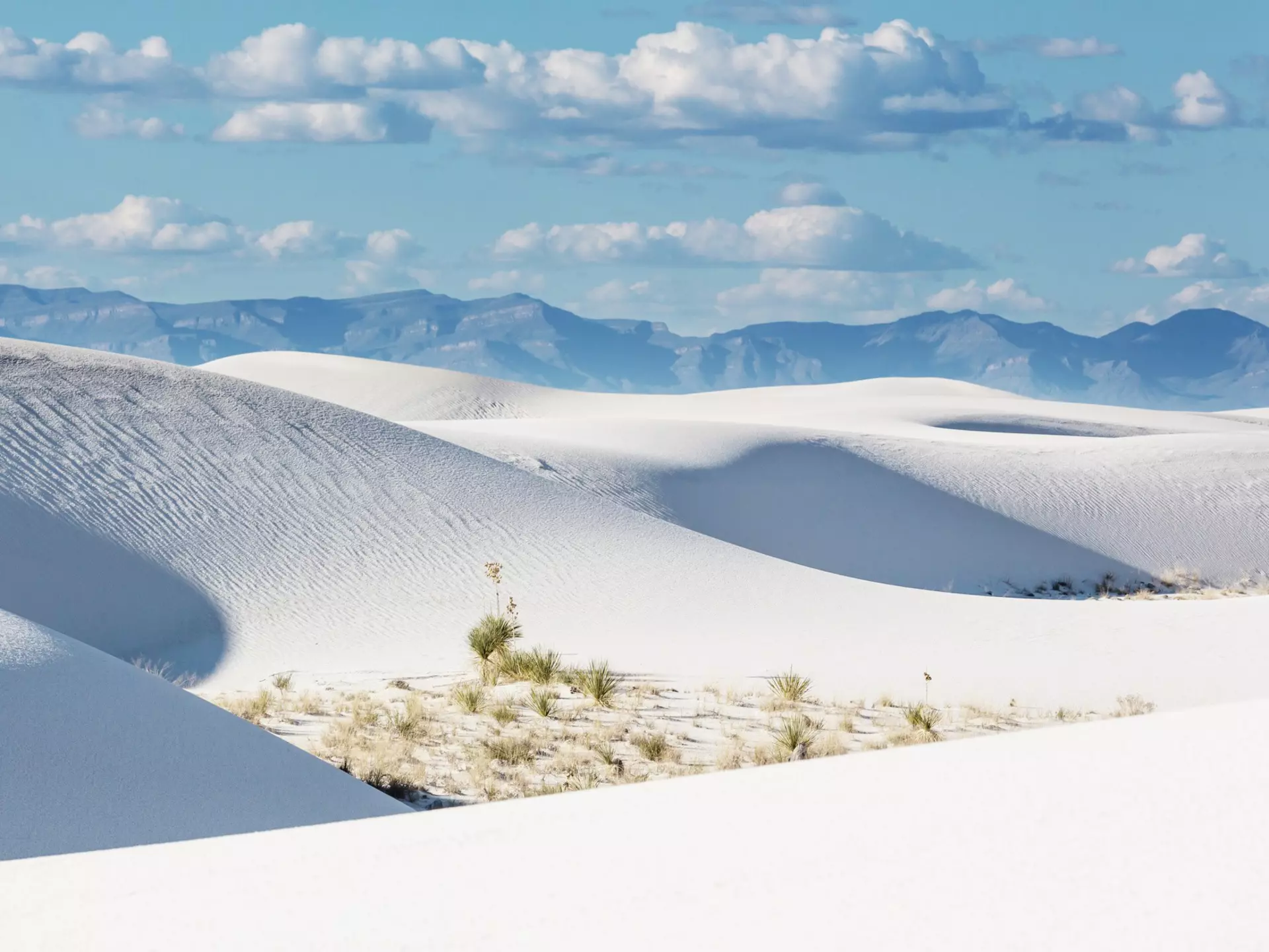 White sand dunes on a sunny day at White Sands National Monument, New Mexico, USA