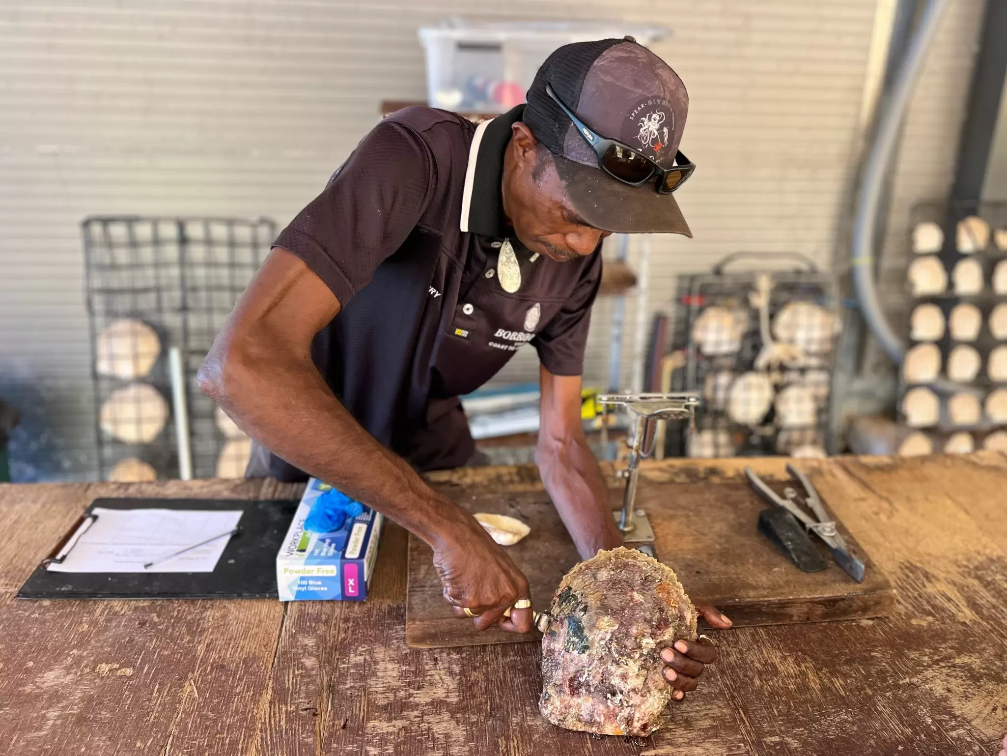 An Aboriginal man cuts apart a massive oyster with a knife on a pearl farm.