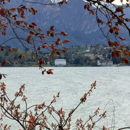 View across Lake Como from the garden of Villa Carlotta. 
