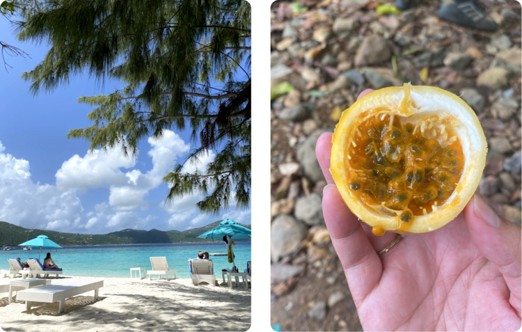Path to the beach; cocktails and snacks in the sand