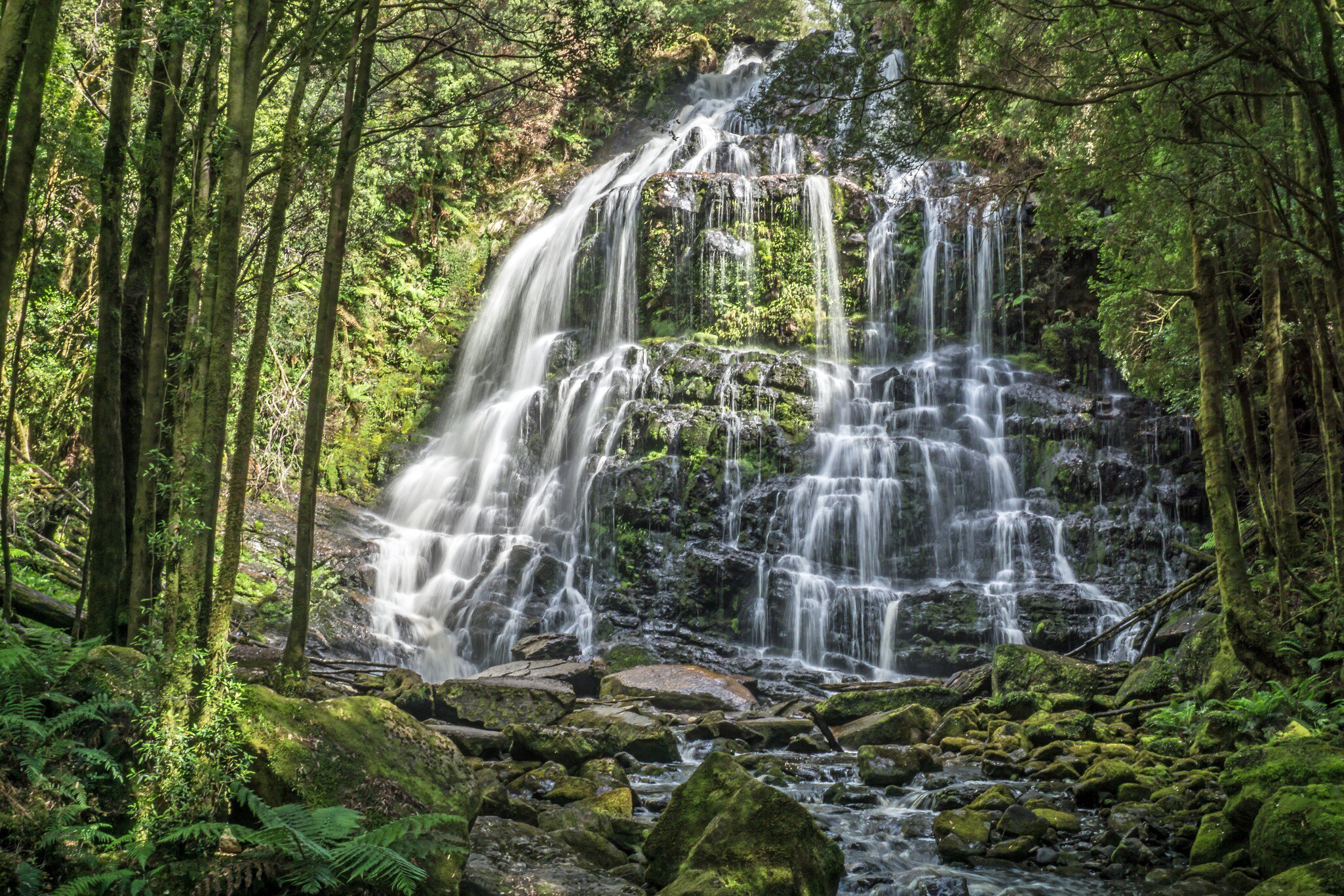 Nelson Falls, Franklin-Gordon Wild Rivers National Park, Tasmania, Australia.