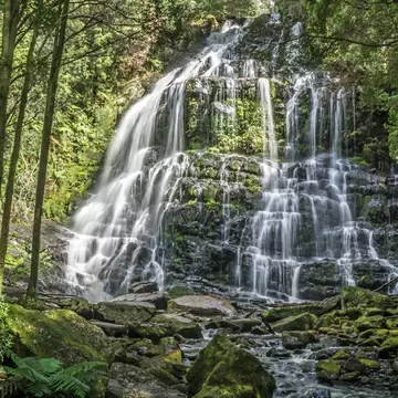 Nelson Falls, Franklin-Gordon Wild Rivers National Park, Tasmania, Australia.