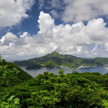 Pago Pago's harbour, waterfront town and a pointed green peak seen over jungle foliage under cumulus clouds