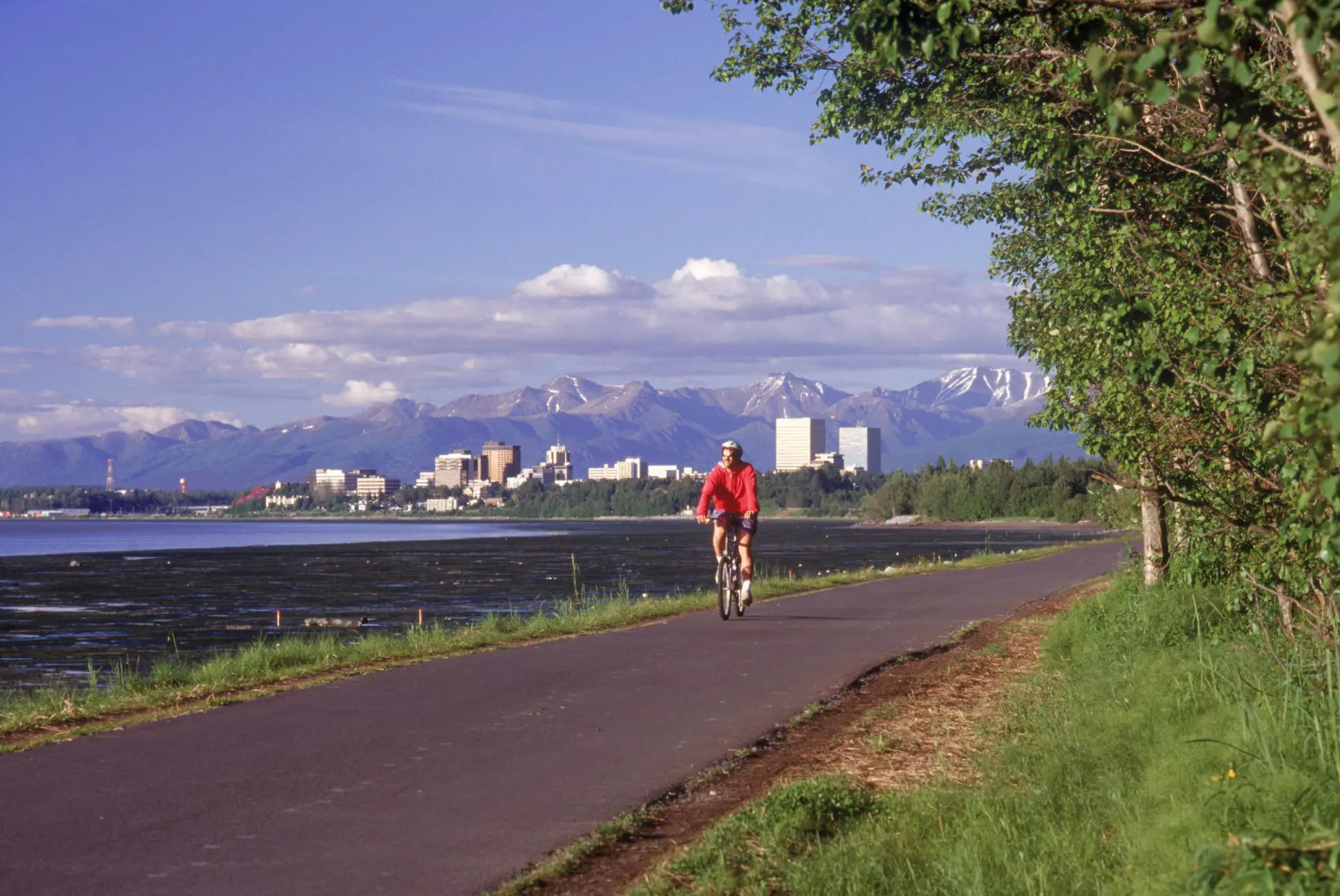 A person bicycles on a path along the waterfront, with the skyline of a city and snowy mountains visible in the distance.