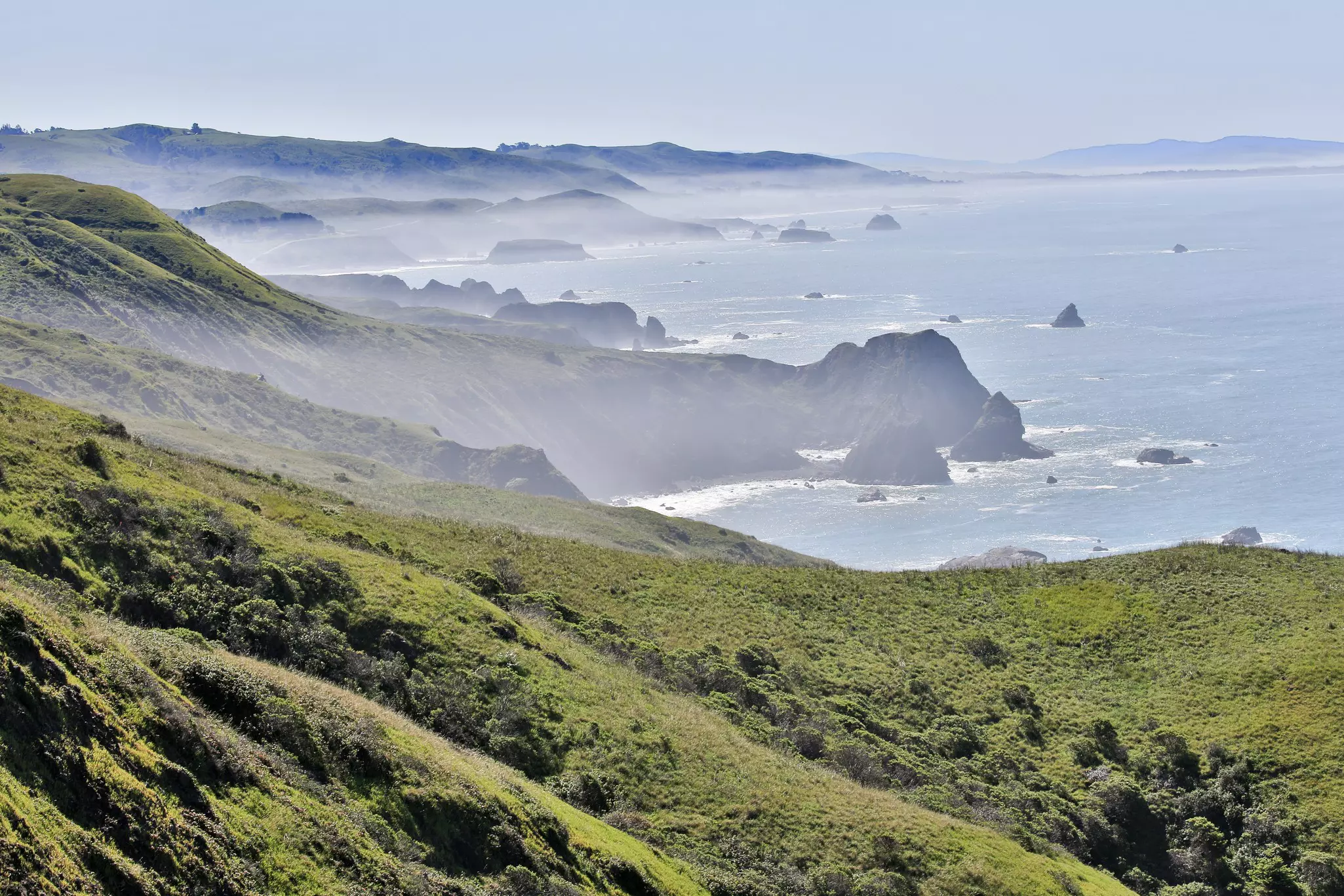 Foggy morning at Bodega Bay, California