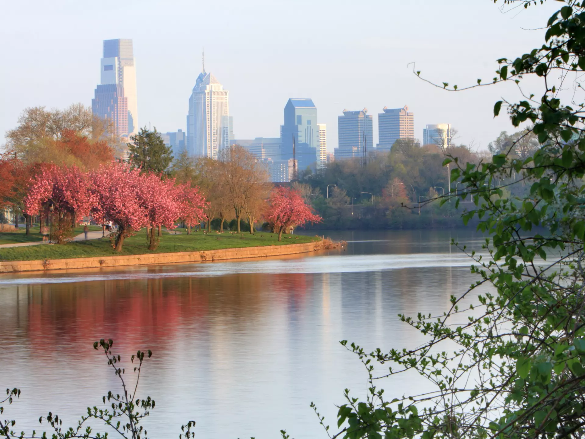 Schuykill River and Fairmount Park with Philadelphia city in the background.
184270939
"Cherry Blossom, Fairmount Park, Flower, Nature, Park, Pennsylvania, Philadelphia, Reflection, River, Scenics, Schuykill River, Spring, Travel Destinations, Travel Locations", Water, Springtime, Reflective, Photography, Scenics - Nature, Schuylkill River, Outdoors, Public Park, Horizontal, Cherry Blossom, No People, Philadelphia - Pennsylvania