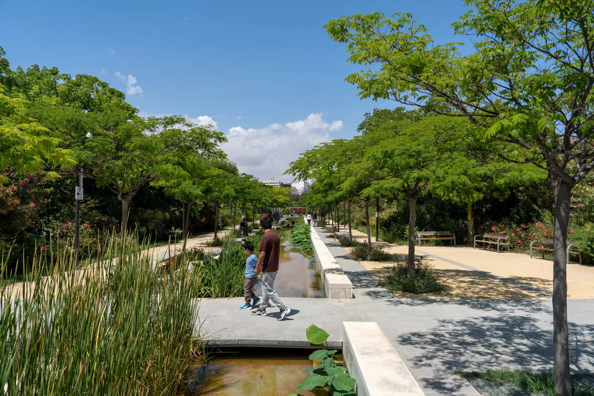 Valencia's outdoor spaces – like Parque Central – inspire locals and visitors alike to enjoy the great outdoors.