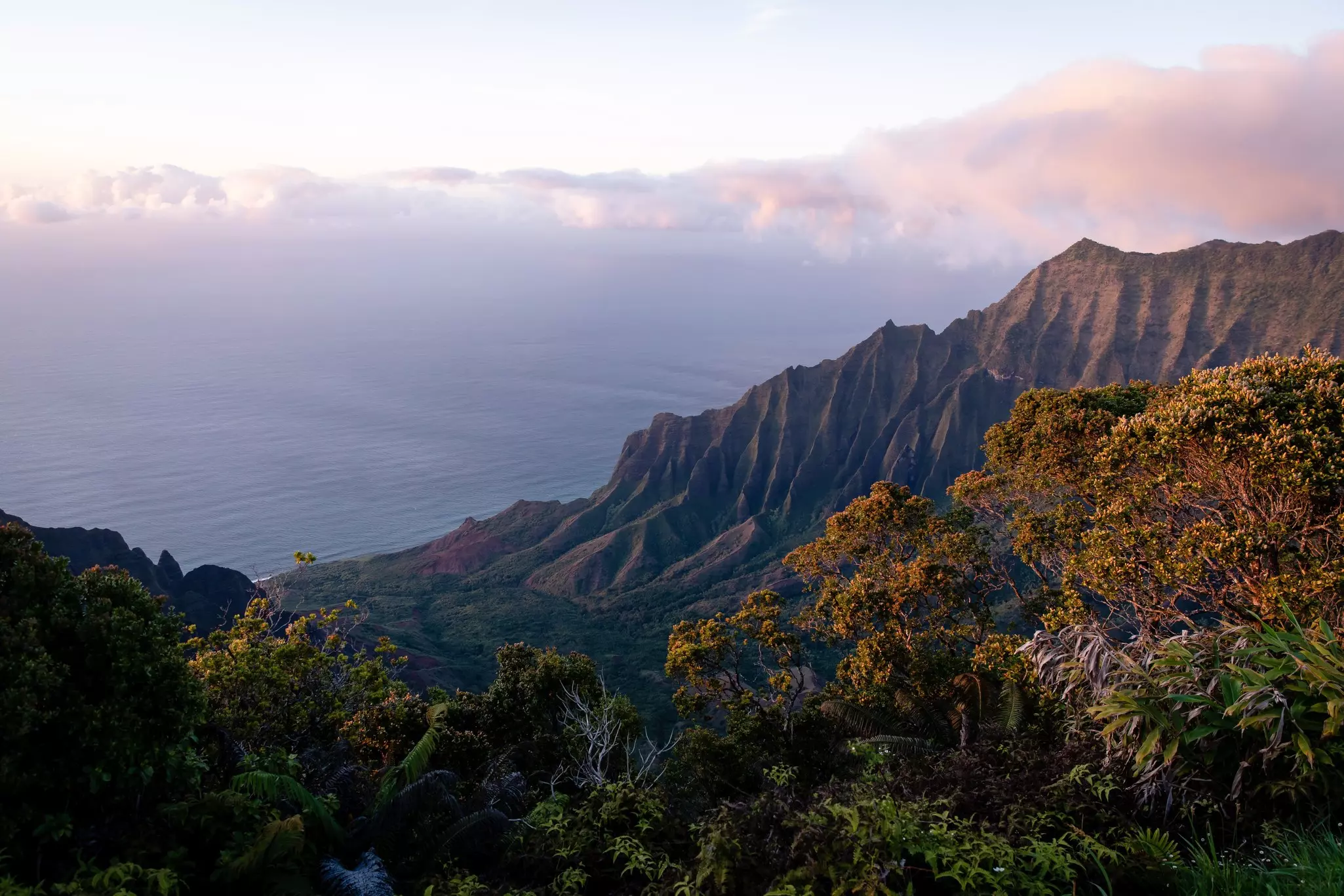 Looking out at a ridge of mountains to the right with trees in the foreground and the ocean in the distance with clouds in a muted sky.