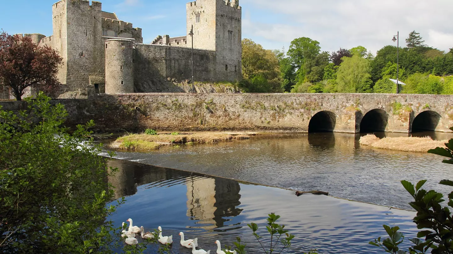 A gray medieval castle surrounded by water. Ducks float by in the foreground