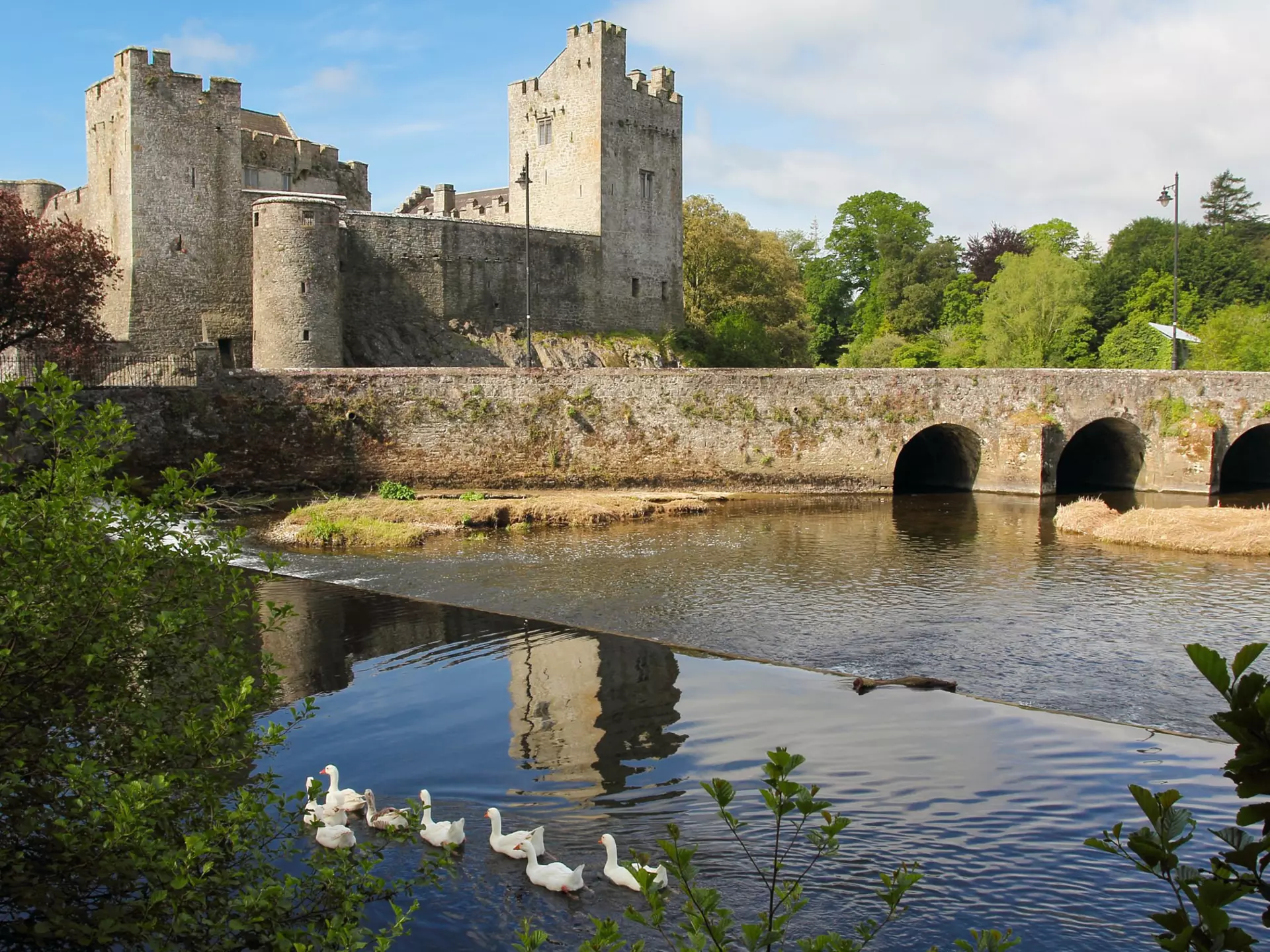 A gray medieval castle surrounded by water. Ducks float by in the foreground
