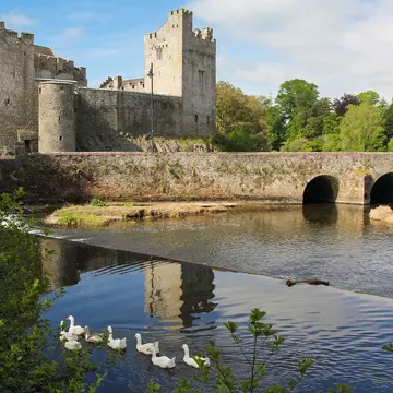 A gray medieval castle surrounded by water. Ducks float by in the foreground