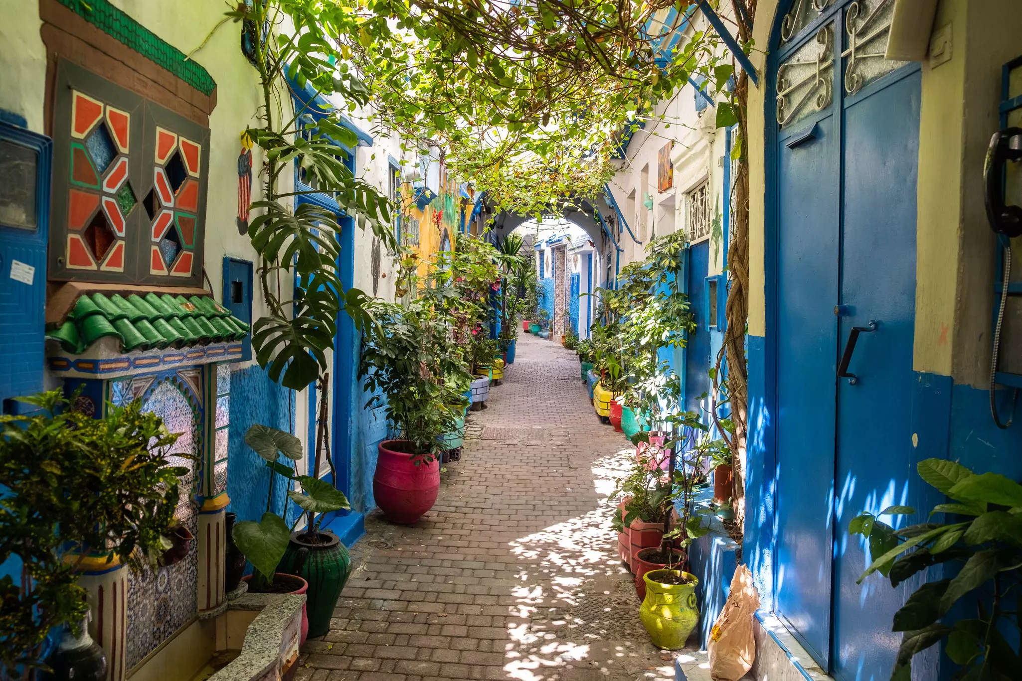 A beautiful and suggestive Tangier kasbah with colored walls and doors and a lot of plant and flowers outdoors.