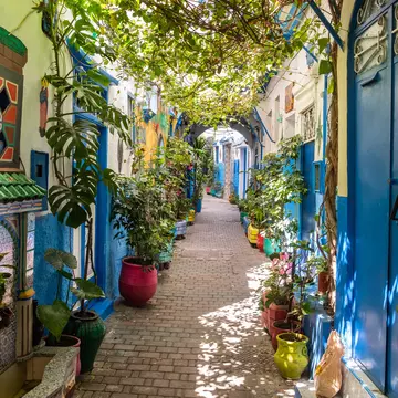 A beautiful and suggestive Tangier kasbah with colored walls and doors and a lot of plant and flowers outdoors.
