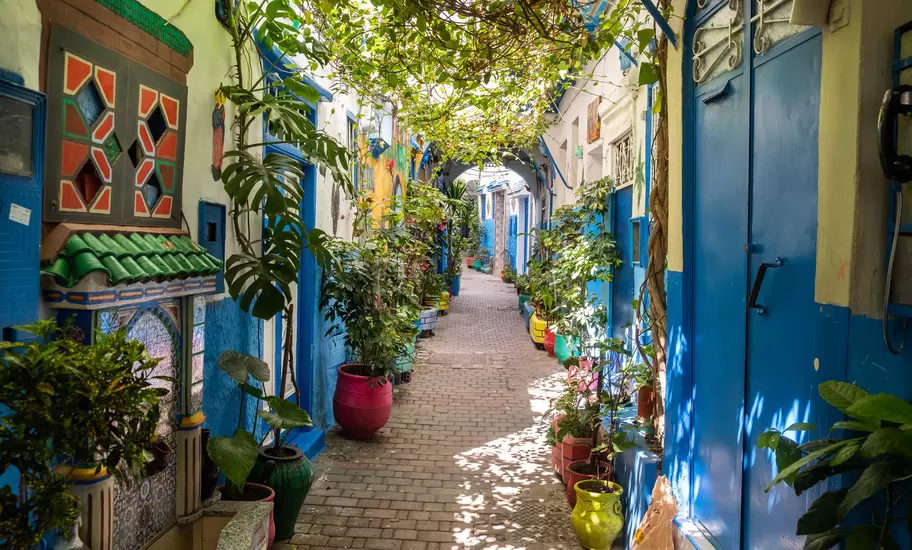 A beautiful and suggestive Tangier kasbah with colored walls and doors and a lot of plant and flowers outdoors.