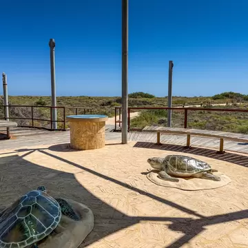Shaded stone-paved deck with two life-size sea turtle sculptures, benches and railings, coastal dunes beyond