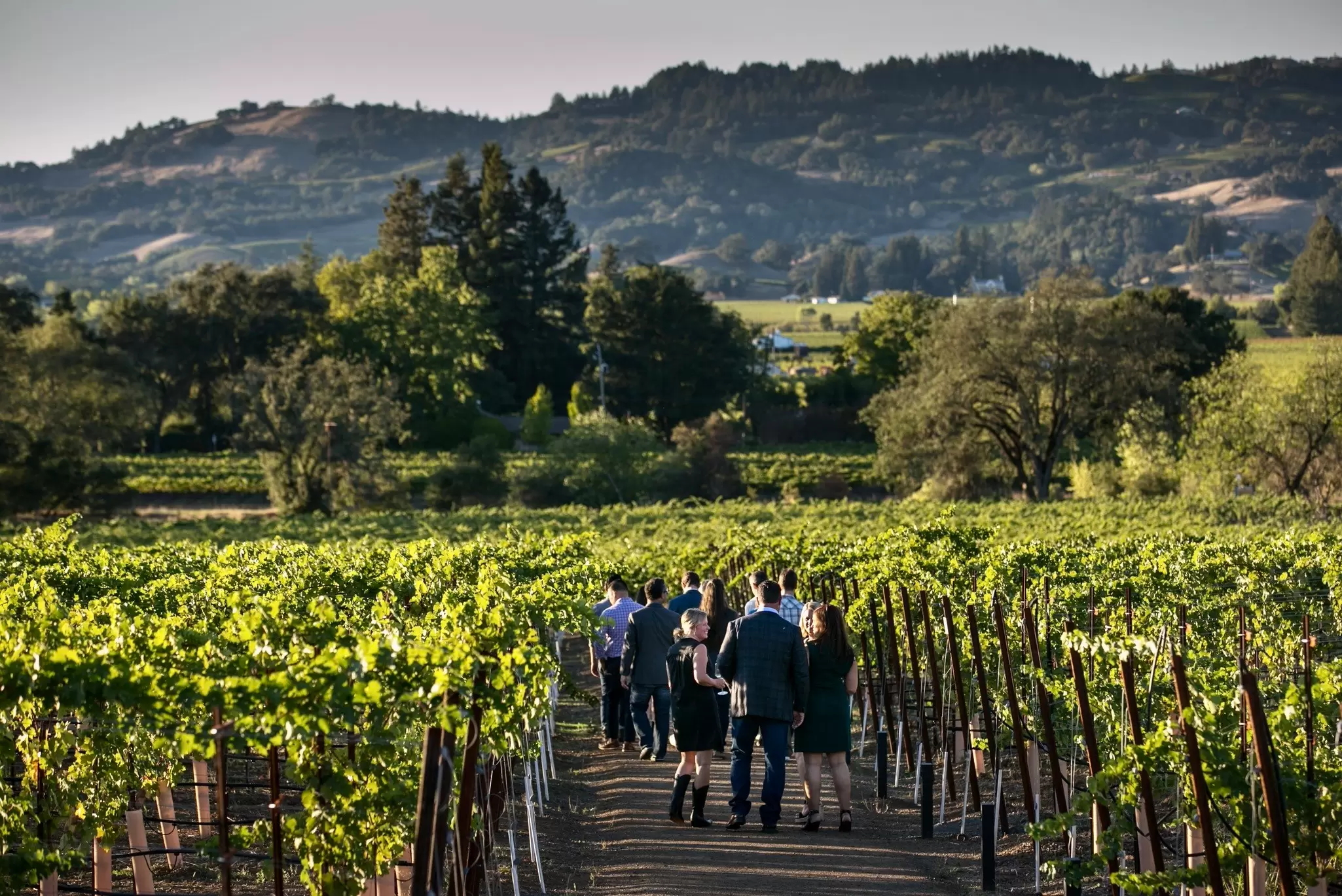 Pick one of these winemaking regions and plan a romantic weekend getaway © George Rose / Getty Images