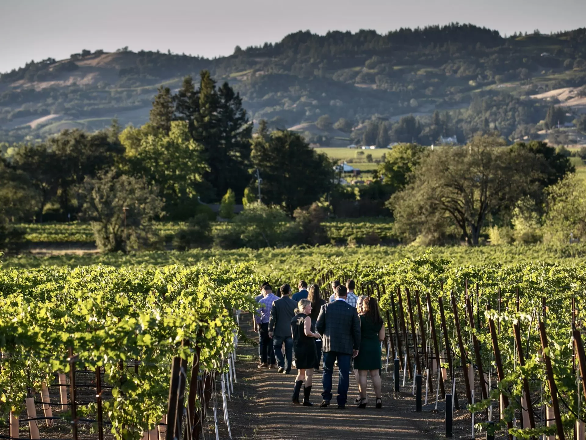 Pick one of these winemaking regions and plan a romantic weekend getaway © George Rose / Getty Images