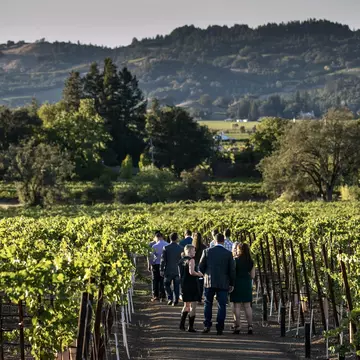 Pick one of these winemaking regions and plan a romantic weekend getaway © George Rose / Getty Images