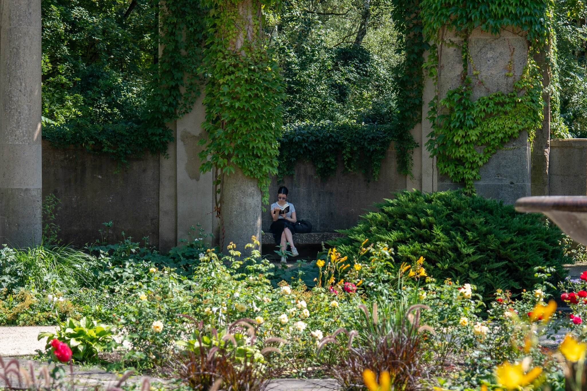 A woman sitting and reading in Tiergarten. Berlin, Germany.