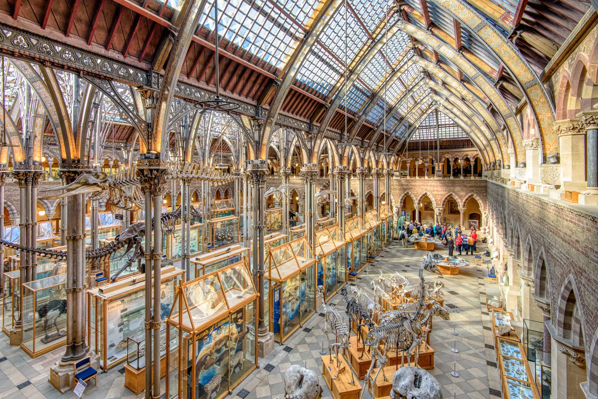 Interior view of the Oxford University Museum of Natural History in Oxford, UK.