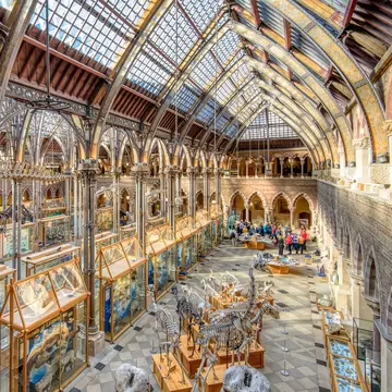 Oxford, United Kingdom - 15th September 2017 : A visit to the see the exhibits at the University of Oxford's Natural History Museum is one of the area's key tourist activities.  License Type: media  Download Time: 2022-01-17T23:40:37.000Z  User: mvm_lonelyplanet  Is Editorial: Yes  purchase_order:   