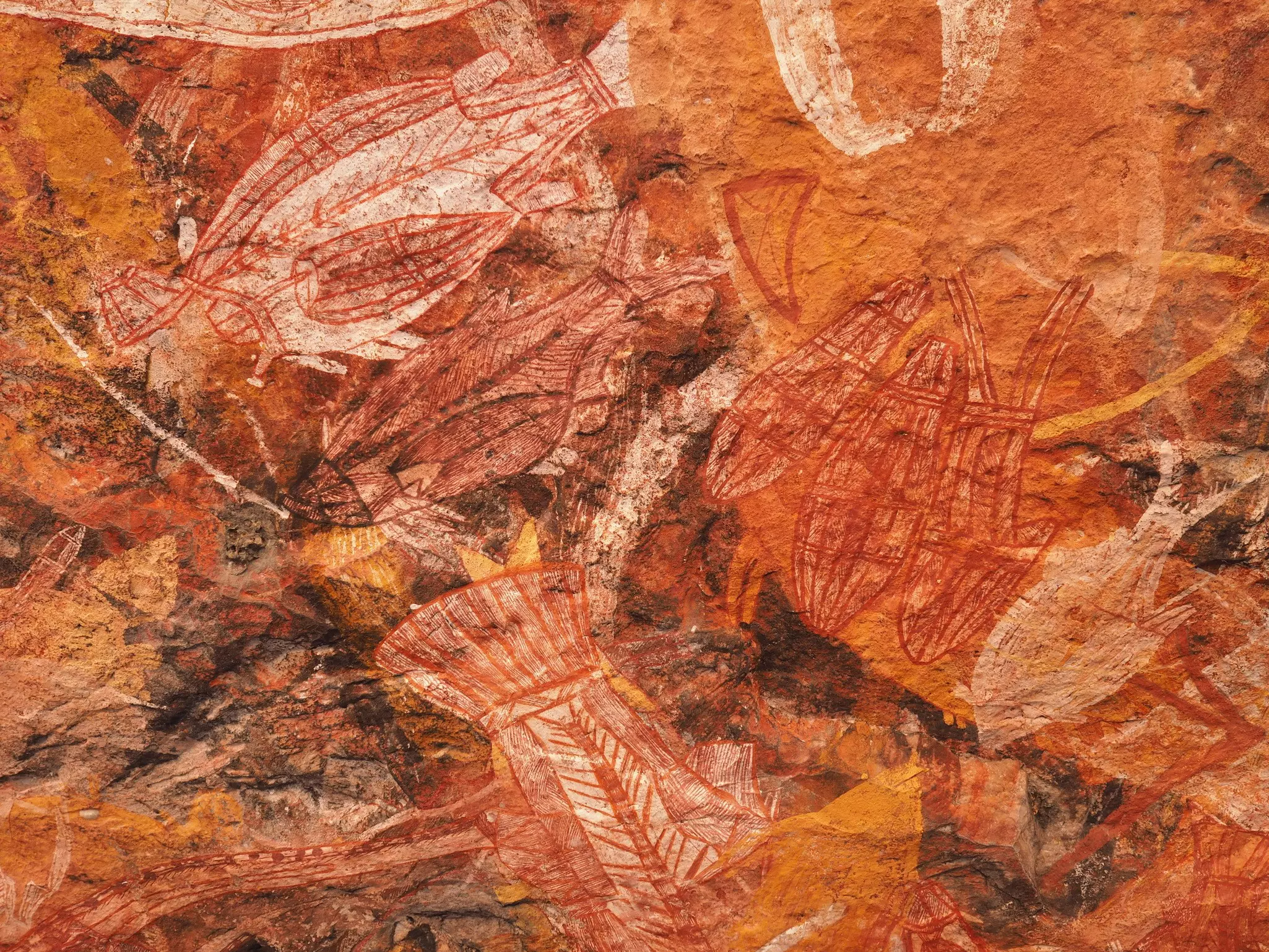 A series of ancient etchings of fish on a wall in red, orange, white, yellow and black.