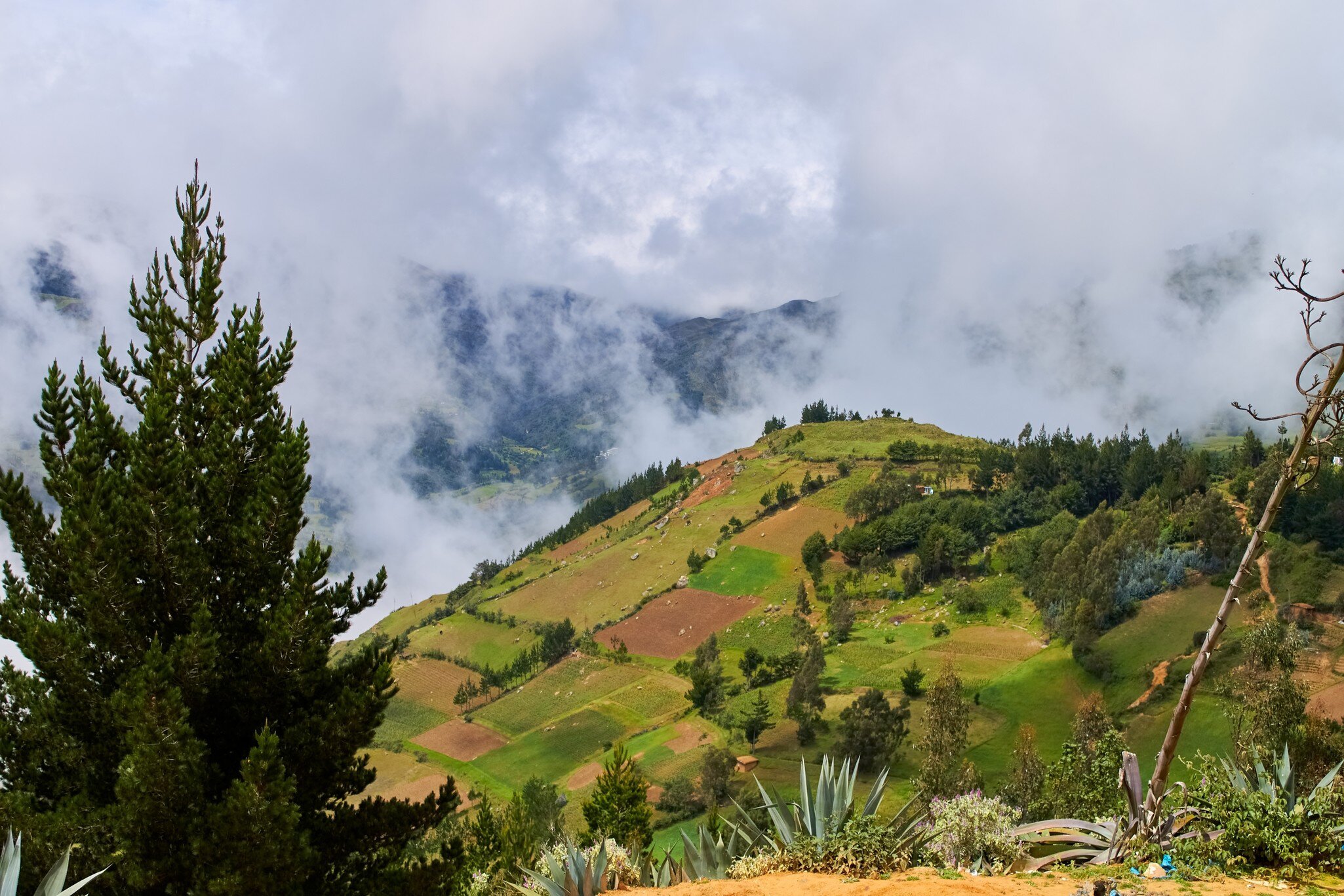 landscapes of the city of incahuasi peru, License Type: media, Download Time: 2026-06-26T00:19:42.000Z, User: LP_NZhan, Editorial: false, purchase_order: 65050 - Digital Destinations and Articles, job: App Content, client: Lonely Planet App, other: Nadine Zhan 