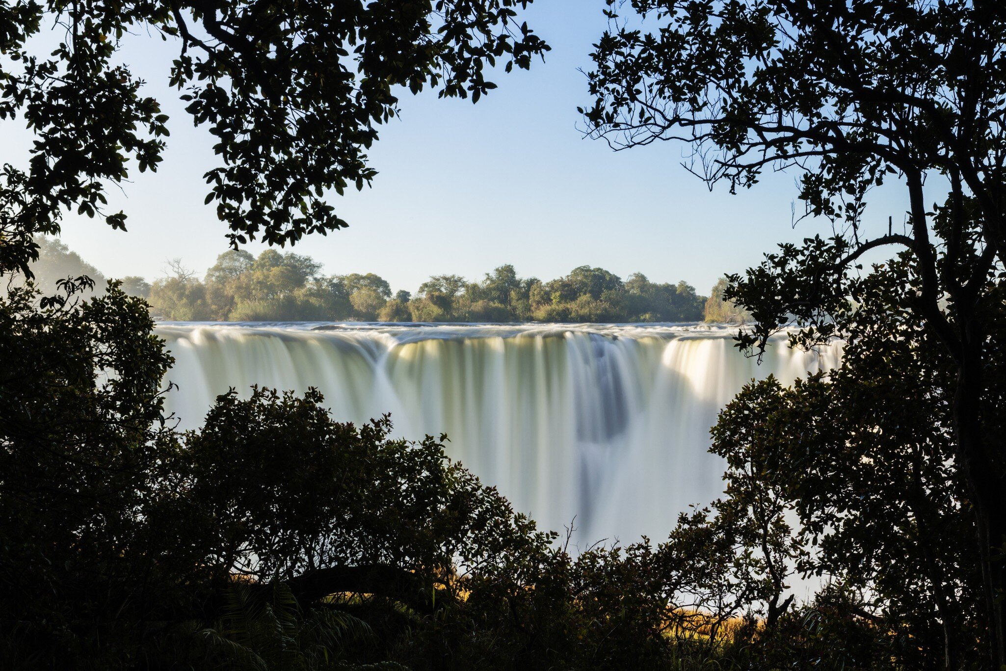 Trees in front of Victoria Falls, Matabeleland North, Zimbabwe