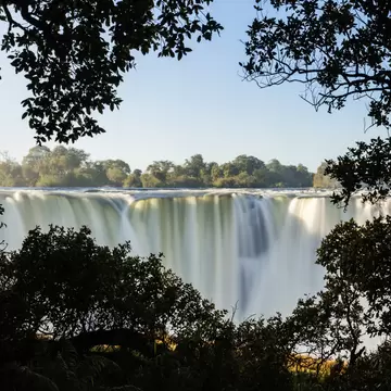 Trees in front of Victoria Falls, Matabeleland North, Zimbabwe