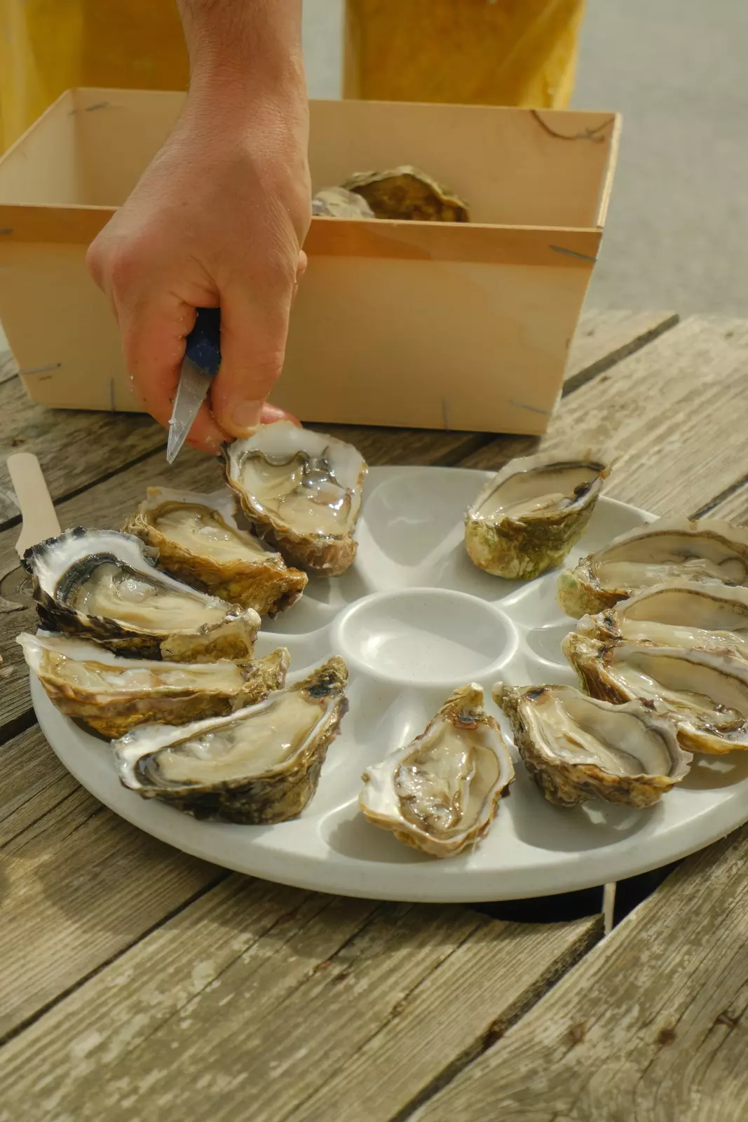 Huitres Baptiste Raimbaud, an oyster farm near the shore at Port des Champs, Vendée, France