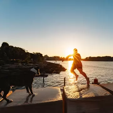 A boy leaps from sandstone blocks into the harbour at sunset as a dog watches, on the Sydney foreshore, Australia