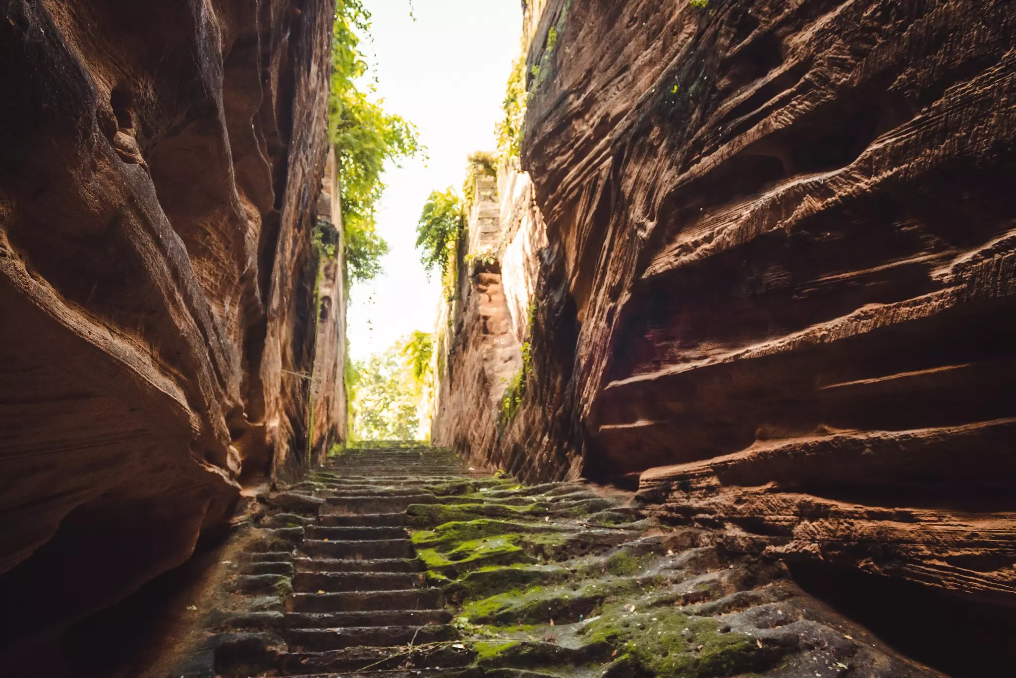 Steps carved through a sandstone canyon