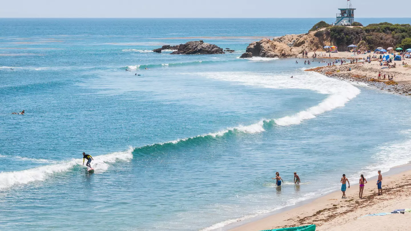 Surfers, swimmers and sunbathers on a summer day in southern California. ©David M. Schrader/Shutterstock