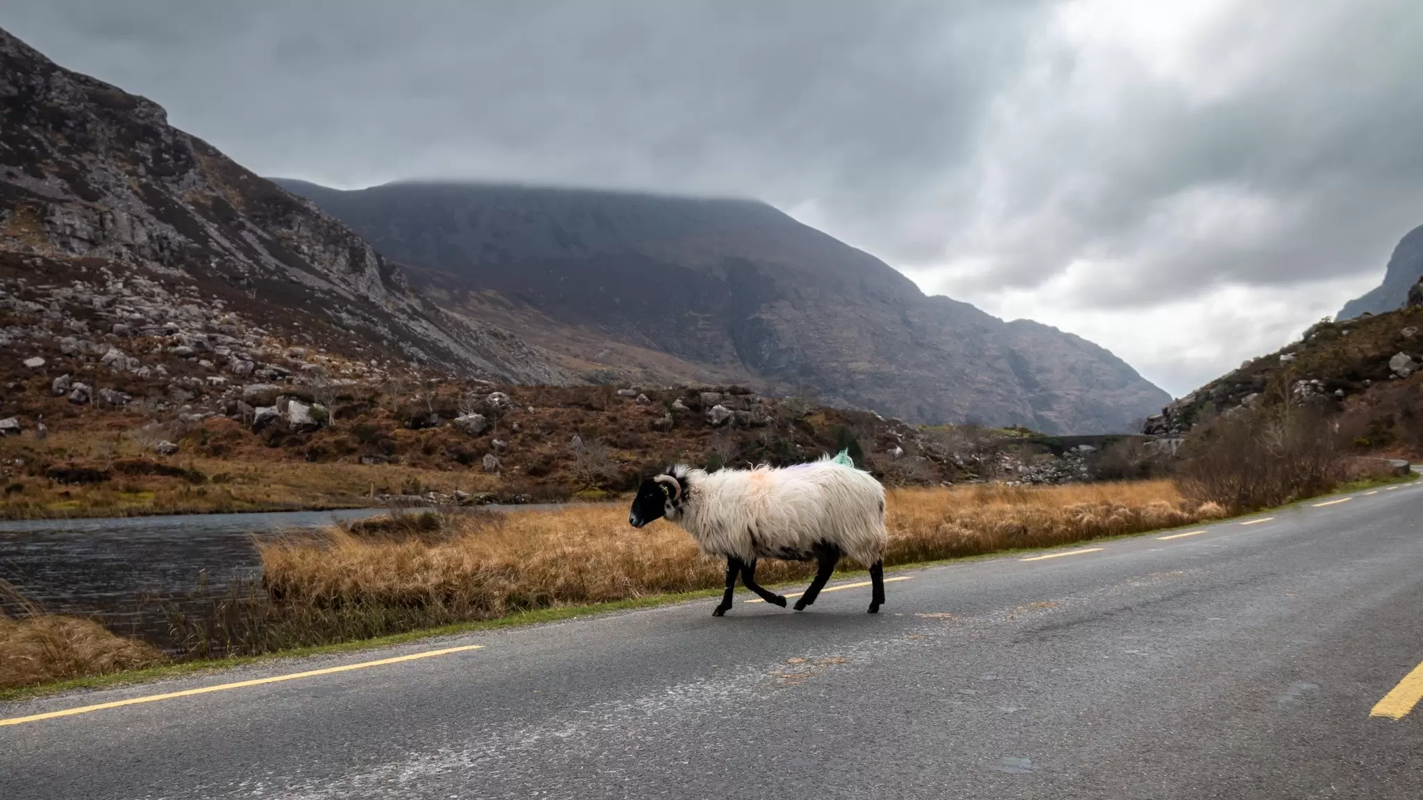 On Ireland’s winding country roads, expect to take it slow © Jade Prevost Manuel / Shutterstock